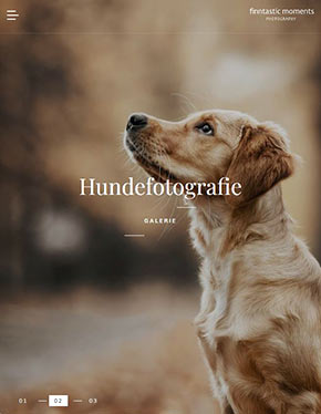 Website erstellen lassen